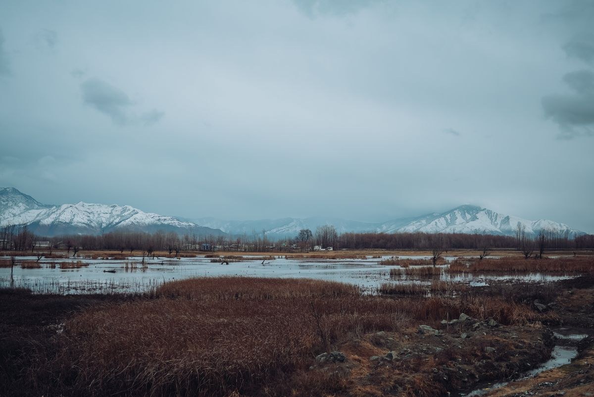 KASHMIR