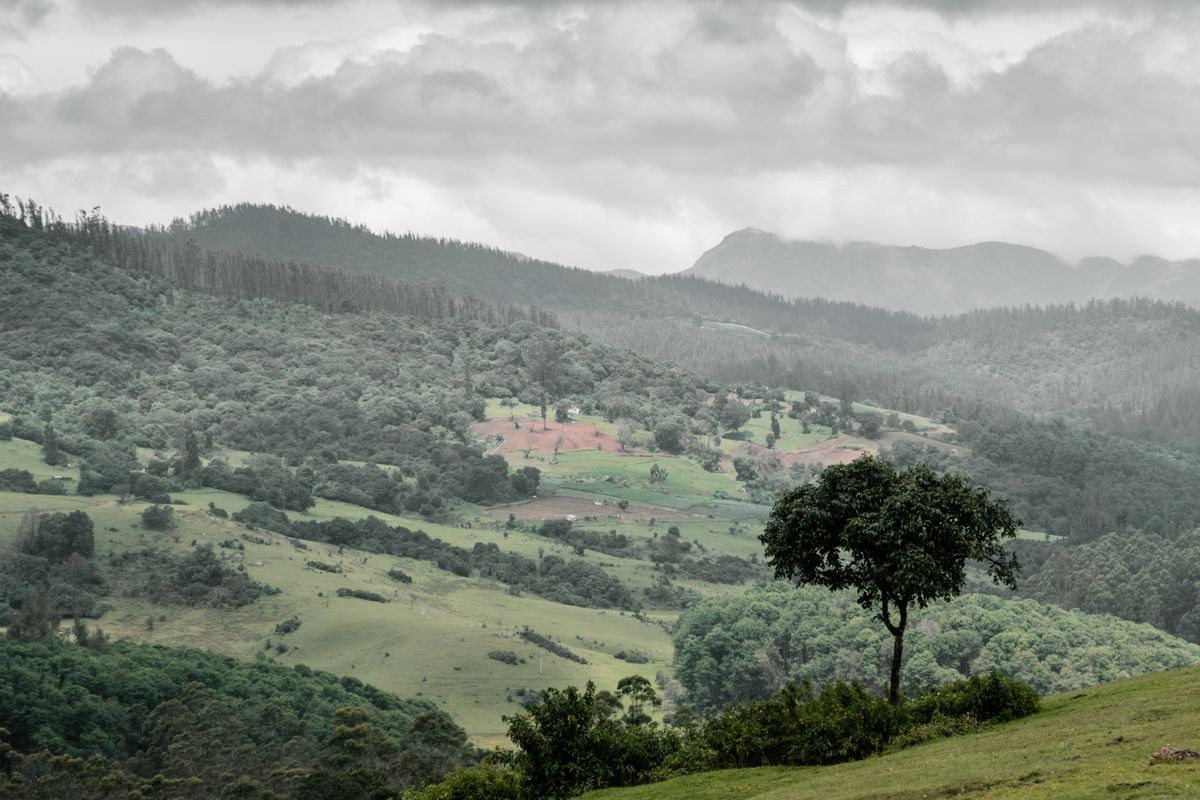 Glories of Southern Hills
