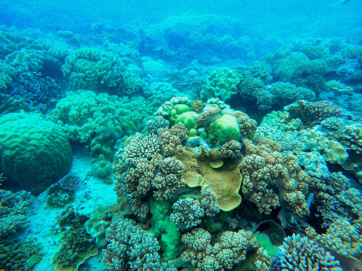 CORAL REEF LAKSHADWEEP PACKAGE – TOUR ITINERARY